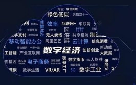 数字经济的“唐山思考”(数字经济数字化实体发展)