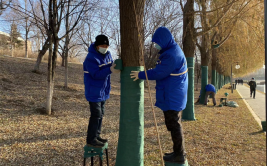 城市绿植穿衣过冬 开启抗冻模式