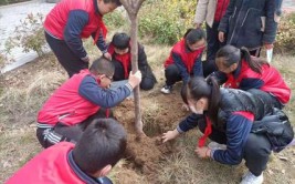 东昌府区郁光小学开展争做护绿小使者植树节活动