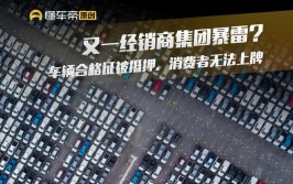 车主维权发现在撤店！路虎一经销商爆雷？(车主合格证车辆万元抵押)