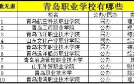 青岛公办职业学校有哪些