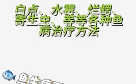 可以解决三种养鱼难题，你愿意收下吗？(养鱼妙招甲基观赏鱼药浴)