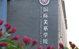 北大有国际关系学院吗