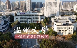 温州大学有哪些学院？