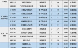 安徽机电职业技术学院中外合作办学学费多少钱一年