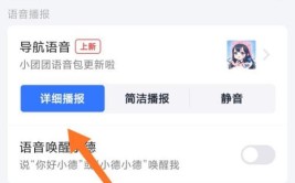 为什么你的导航会不播报！(限速提醒功能导航播报)