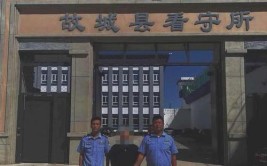 衡水警方打掉一个流窜7县市作案的“飞抢”团伙 专找单独女人作案(作案县市流窜团伙犯罪嫌疑人)