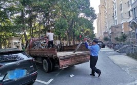 小车直接成僵尸车！交警一年上门多次，车主才终于处理(交警僵尸车主报废小车)