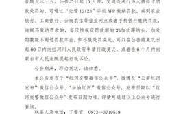 湘潭公安交警关于限期接受交通违法处罚的公告（附名单）(处罚限期接受交警交通违法)