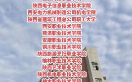 多少分能被陕西电子信息职业技术学院录取