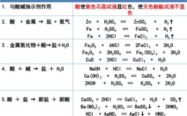 碱的通性是什么