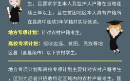 地方专项计划什么意思