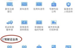 最全的车管业务办理指南在这里(办理在这里业务最全车管)