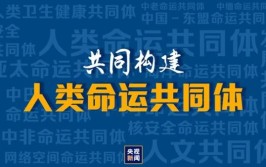 瞭望·治国理政纪事｜加快形成长三角科创共同体(创新科技创新产业共同体发展)