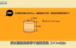 圆柱的底面积是指一个还是两个?