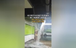 物业回应(漏水车库积水物业小区)