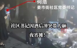 竟然酒后开车撞人……(李某安岳被告人陈某夜宵)