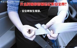 车受损严重人没事(受损冲下安全带操作没事)