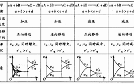 相对表面积与物质运输速率的关系