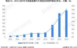 2024-2030年全球及中国汽车钢板行业投资前景及竞争策略研究报告(钢板汽车销量全球收入)