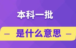 一类本科是什么意思