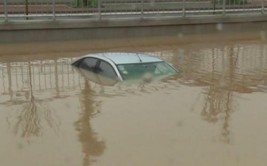 轿车顶漏水变“水帘洞”(暴雨漏水灾害轿车积水)