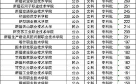 2024新疆公办专科大学排名名单及录取分数线位次