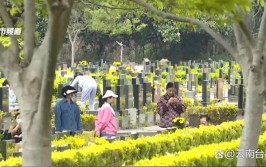 湖南各地清明祭扫要求整理(祭扫返乡疫情清明景区)