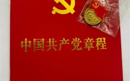 一枚党徽的力量(党徽同学们群体精神金印)