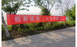 通州区金沙街道：打好“三大战”   让群众共享蓝天碧水(金沙街道攻坚巡查碧水)