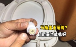 不看这个连马桶盖都拆下来更别提维修了(马桶盖阻尼维修不看别提)