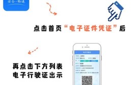 关于逐步恢复全州公安交管业务的公告(机动车检测业务交管车辆)