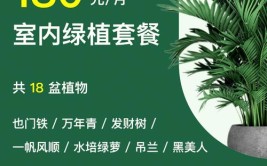 实用干货教你如何为公司节省绿植买卖和租赁的费用记得收藏哦