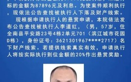 最高奖励10000元！全网找这四人……(被执行人执行悬赏法律文书履行)