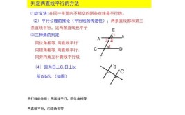 平行线的性质和判定