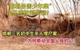 少年遇害案：嫌疑人和受害人的十年(供述无罪高院公厕死刑)