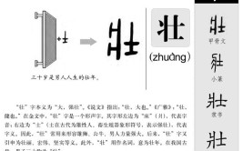 单于壮其节的壮指的是什么意思