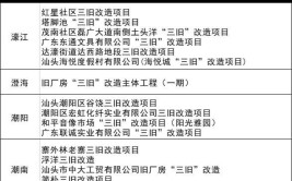 项目快报：汕头市2021年1月第四周批复项目共59项(项目潮南区工程项目改造升级)