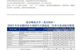 2024北京高考265分能上什么大学？