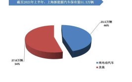 上海的汽车保有量有多少？(汽车保有量有多少新能源大都市)