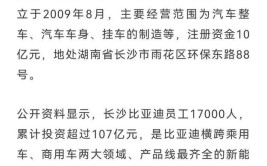 比亚迪部分产线停业整顿！因废气超标流鼻血儿童已超800人(比亚迪废气调查组停业流鼻血)