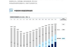 新能源车电池密度,技术革新与未来展望