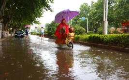 雨在路上了(路上中雨地区气温大雨)