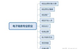 电子商务包括哪些专业