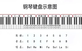 钢琴可以自学吗