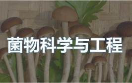 菌物科学与工程专业怎么样