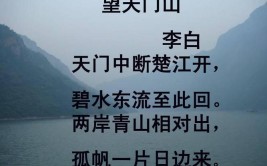 孤帆一片日边来是什么意思