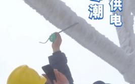 宣城供电：多措并举应对新一轮寒潮天气(供电寒潮线路应急天气)