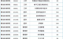 青岛滨海学院专升本专业有哪些