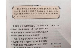 梦境中的仓库装修,分析潜意识中的生活变迁与心灵寄托